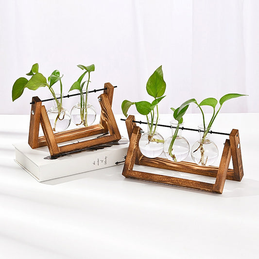 Stations pivotantes de propagation de plantes Chikalabs pour terrarium en verre