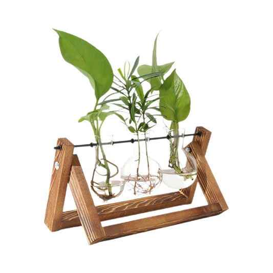 Stations pivotantes de propagation de plantes Chikalabs pour terrarium en verre