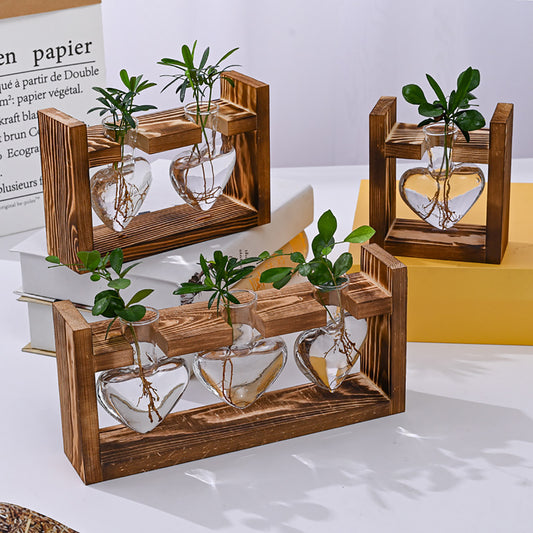Stations de propagation de plantes Chikalabs Terrarium en verre