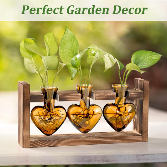 Stations de propagation de plantes Chikalabs Brown Heart pour terrarium en verre