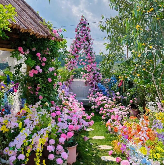 🔥🌺True Colorful Flowers Climbing Rose Seeds