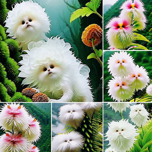 🌱Chikalabs Cat Face Flower Seeds