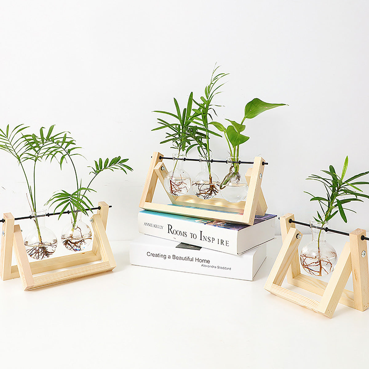 Chikalabs Plant Propagation Swing Stations Glass Terrarium