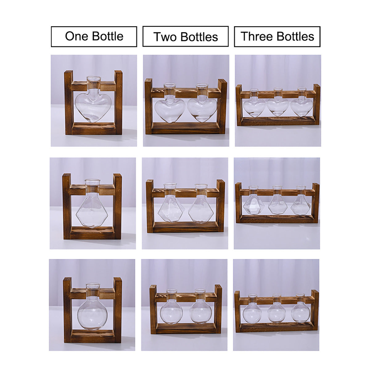 Chikalabs Pflanzenvermehrungsstationen Glasterrarium