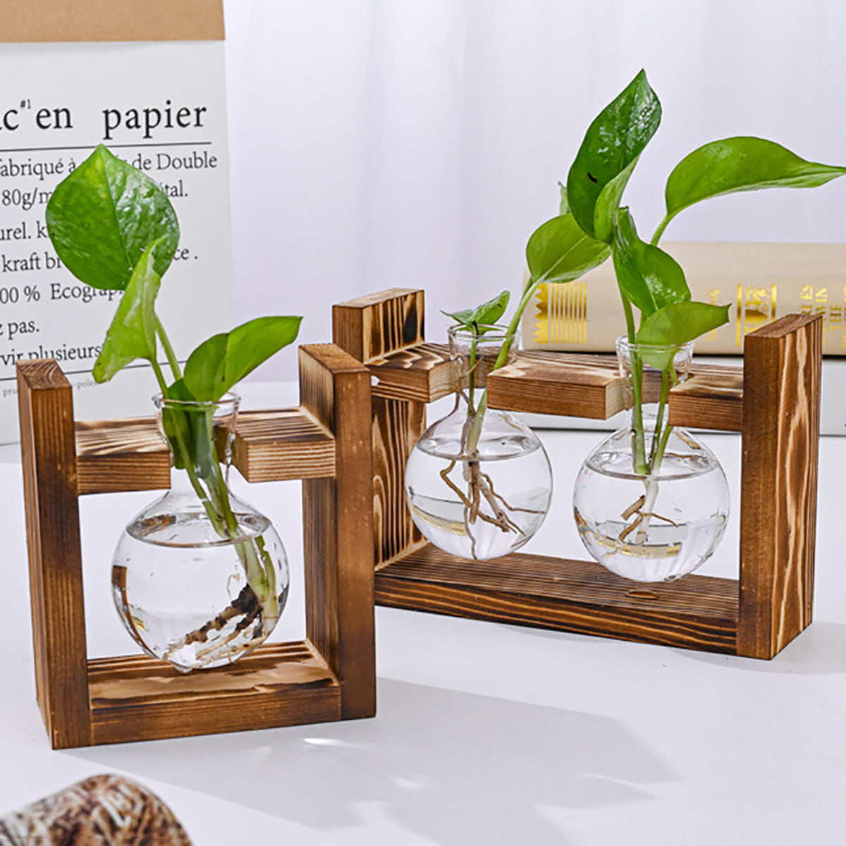 Chikalabs Pflanzenvermehrungsstationen Glasterrarium