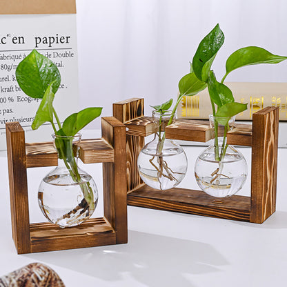 Chikalabs Pflanzenvermehrungsstationen Glasterrarium