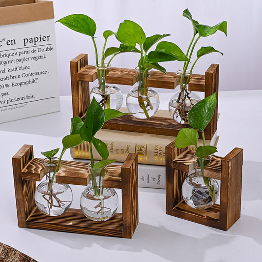 Stations de propagation de plantes Chikalabs Terrarium en verre