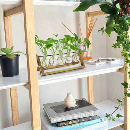 Chikalabs Stations pivotantes de propagation de plantes à 5 bulbes Terrarium en verre