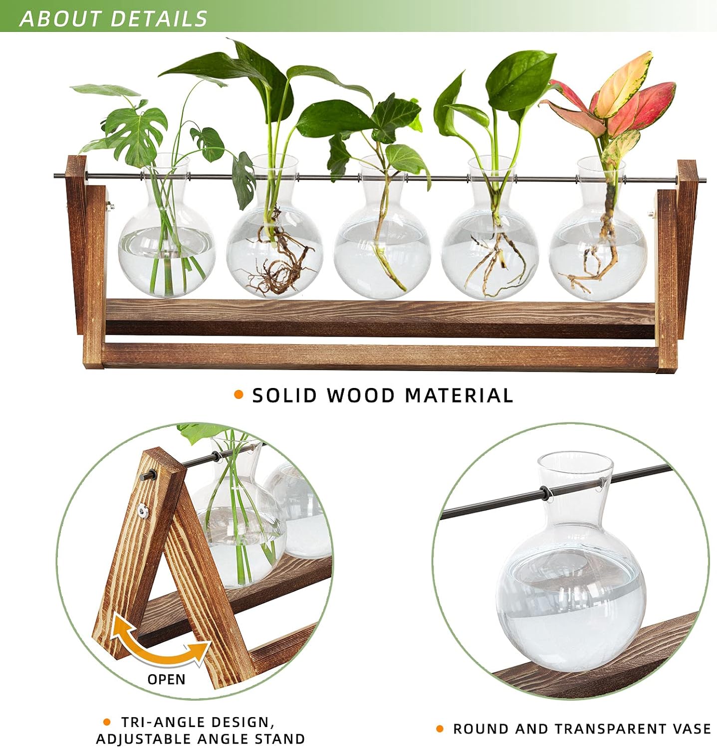 Chikalabs Stations pivotantes de propagation de plantes à 5 bulbes Terrarium en verre