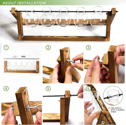 Chikalabs Stations pivotantes de propagation de plantes à 5 bulbes Terrarium en verre