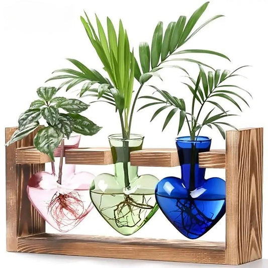 Stations de propagation de plantes colorées Chikalabs Terrarium en verre