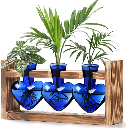 Stations de propagation de plantes Chikalabs Blue Heart Terrarium en verre