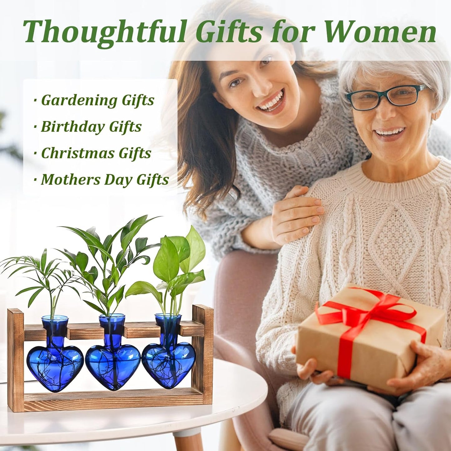 Chikalabs Blue Heart Plant Propagation Stations Glass Terrarium