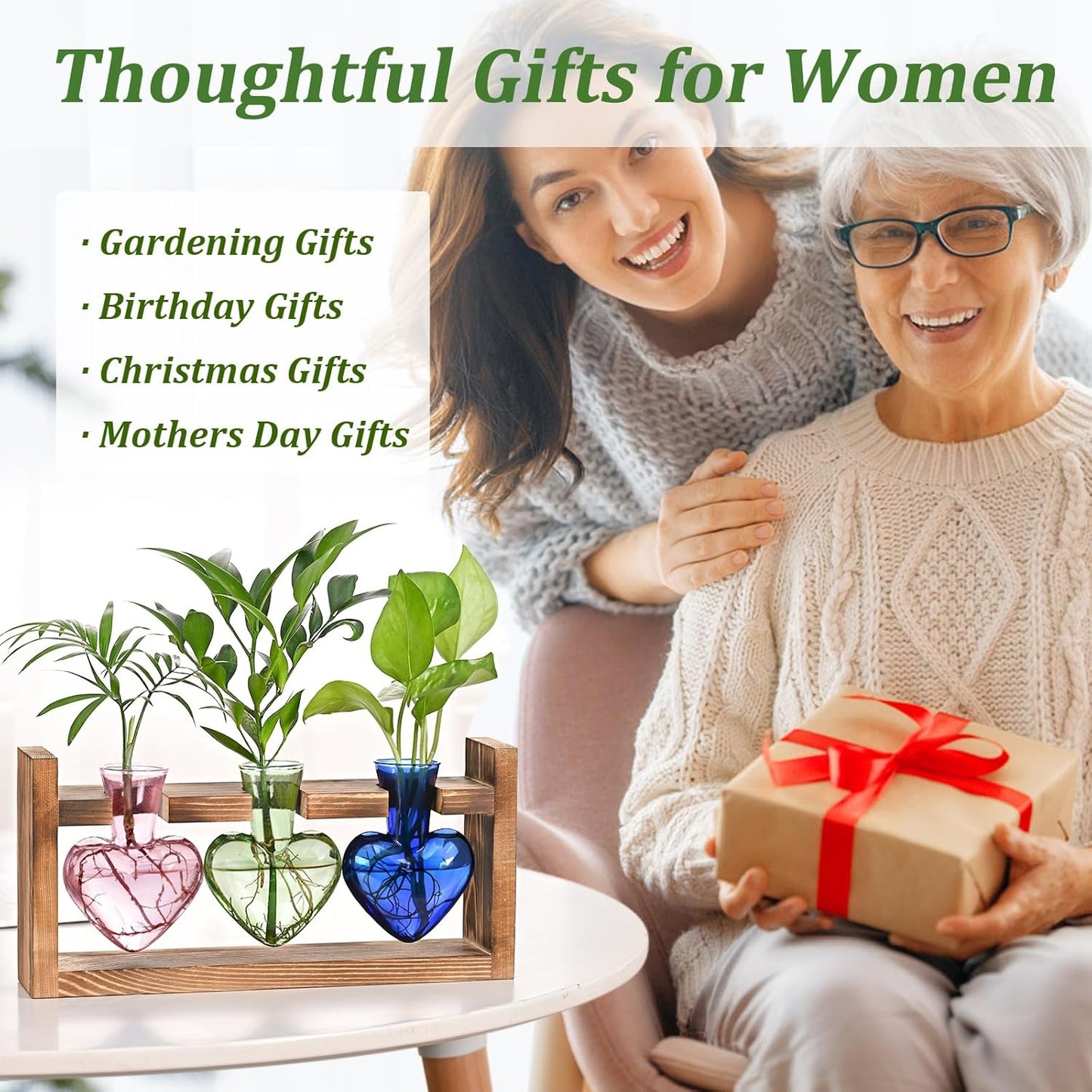 Stations de propagation de plantes colorées Chikalabs Terrarium en verre