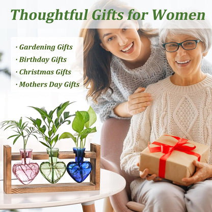 Stations de propagation de plantes colorées Chikalabs Terrarium en verre