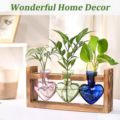 Stations de propagation de plantes colorées Chikalabs Terrarium en verre