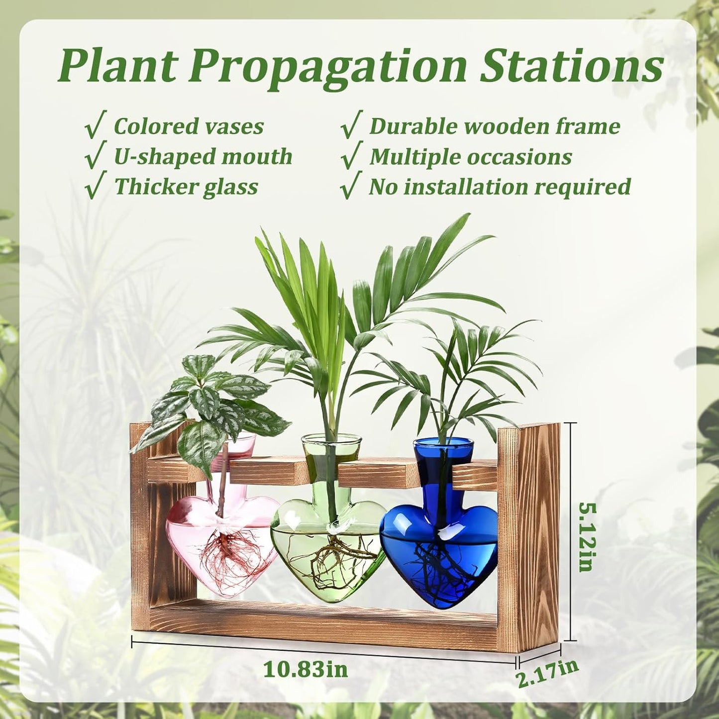 Stations de propagation de plantes colorées Chikalabs Terrarium en verre