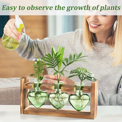 Chikalabs Green Heart Pflanzenvermehrungsstationen Glasterrarium