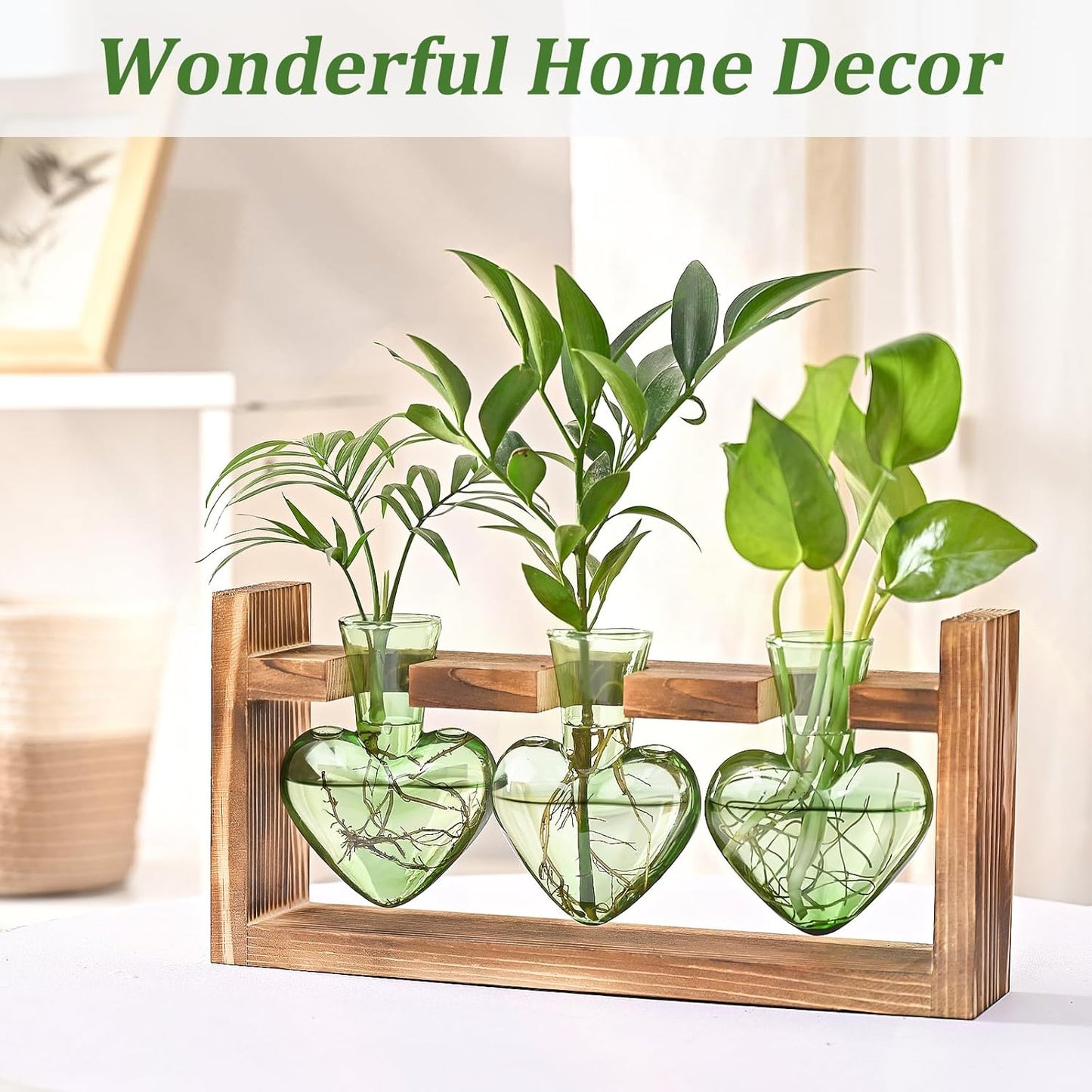 Chikalabs Green Heart Pflanzenvermehrungsstationen Glasterrarium