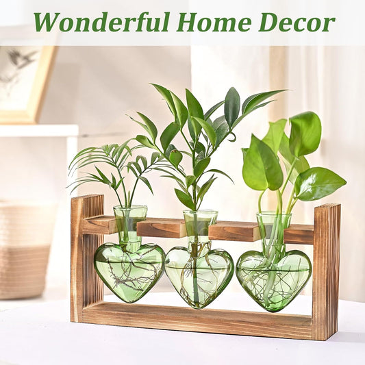 Stations de propagation de plantes Chikalabs Green Heart Terrarium en verre