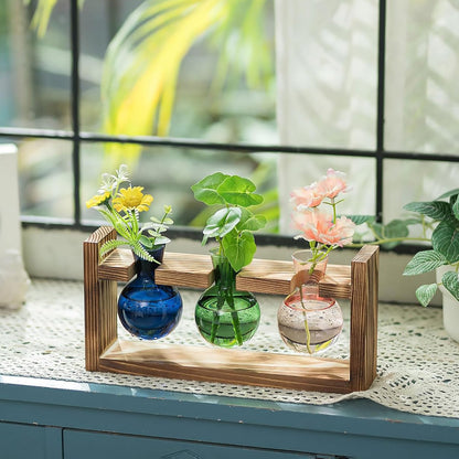 Stations de propagation de plantes colorées Chikalabs Terrarium en verre