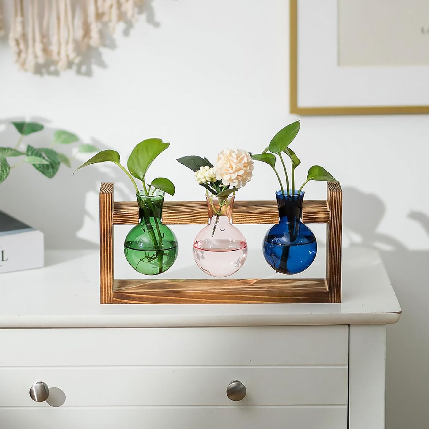 Stations de propagation de plantes Chikalabs en bouteille ronde Terrarium en verre