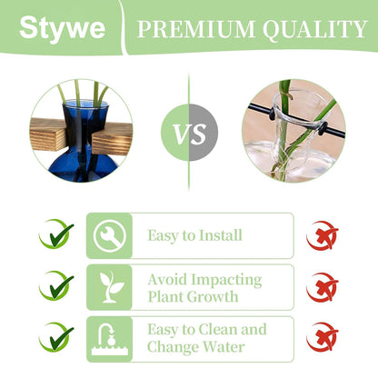 Stations de propagation de plantes Chikalabs en bouteille ronde Terrarium en verre