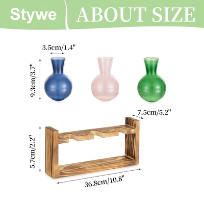 Stations de propagation de plantes Chikalabs en bouteille ronde Terrarium en verre