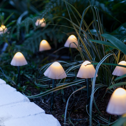 🍄Lampes solaires en forme de champignon pour jardin Chikalabs