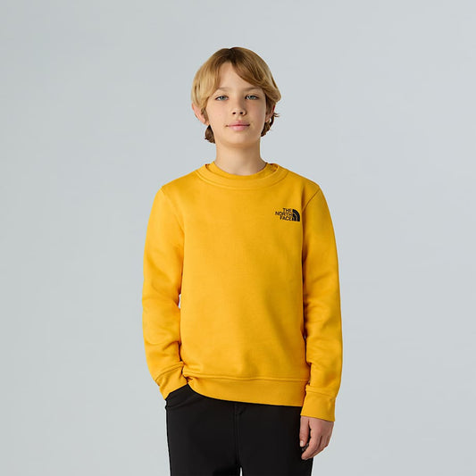 Teens' NSE Box Sweatshirt