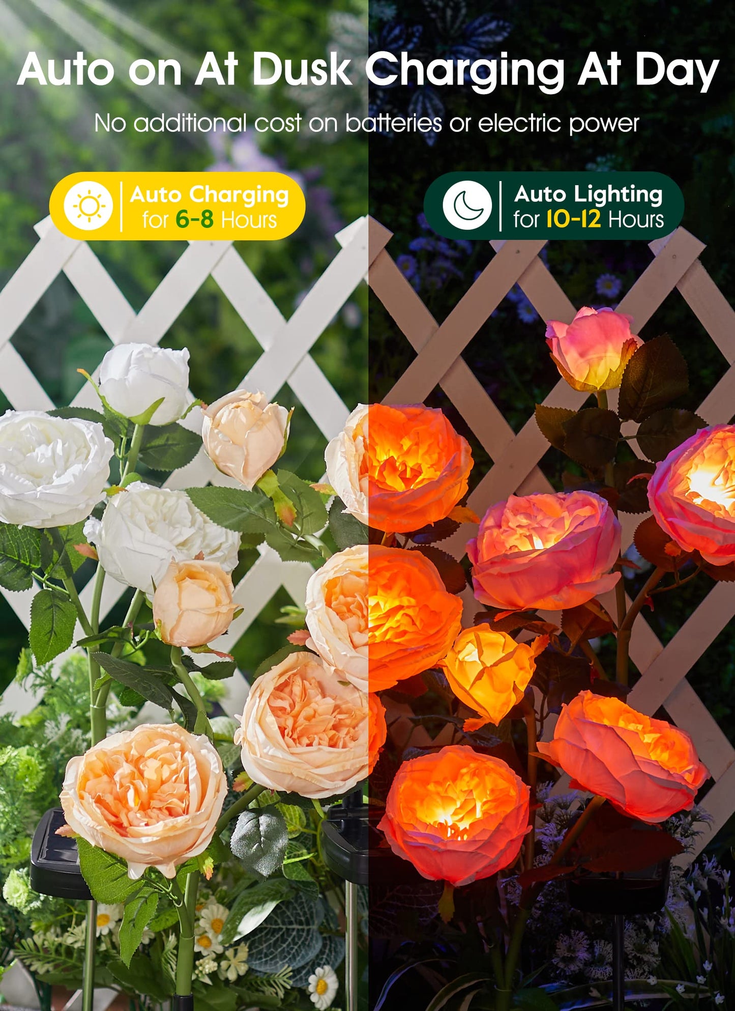💐Chikalabs Garden Rose Solar Flower Lights